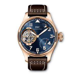 Фото 54 - IWC Pilot`s Watches IW590303