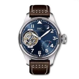 Фото 62 - IWC Pilot`s Watches IW590302