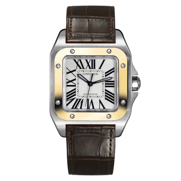 Товар Cartier Santos 100 W20107X7 Фото 1 - Cartier Santos 100 W20107X7