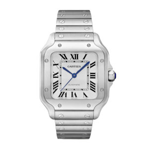 Фото 23 - Cartier Santos de Cartier 40mm WSSA0029 Steel
