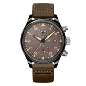 Фото 66 - IWC Pilot`s Watches IW389002 Top Gun