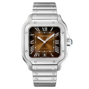 Фото 37 - Cartier Santos de Cartier 40mm WSSA0064