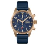 IW388109-Pilot’s