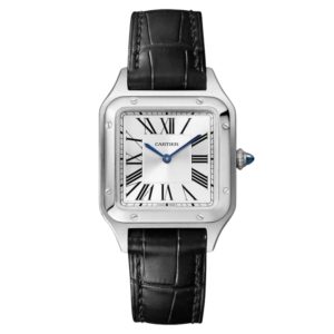 Фото 49 - Cartier Santos Dumont 38mm WSSA0023