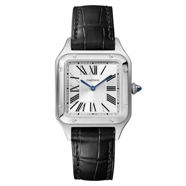 Товар Cartier Santos Dumont 38mm WSSA0023 Фото 1 - Cartier Santos Dumont 38mm WSSA0023
